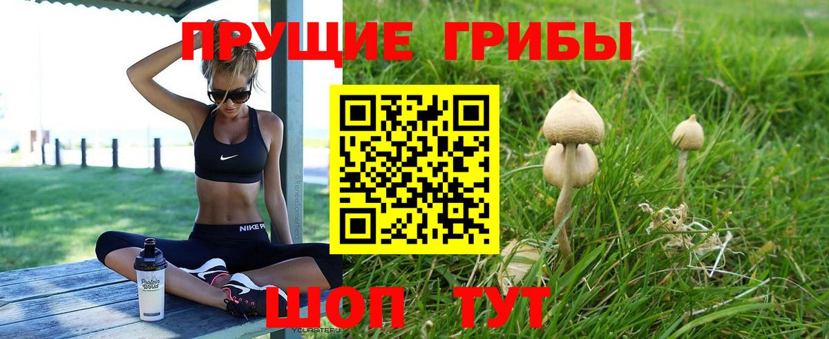 Галлюциногенные грибы мицелий Горячий Ключ