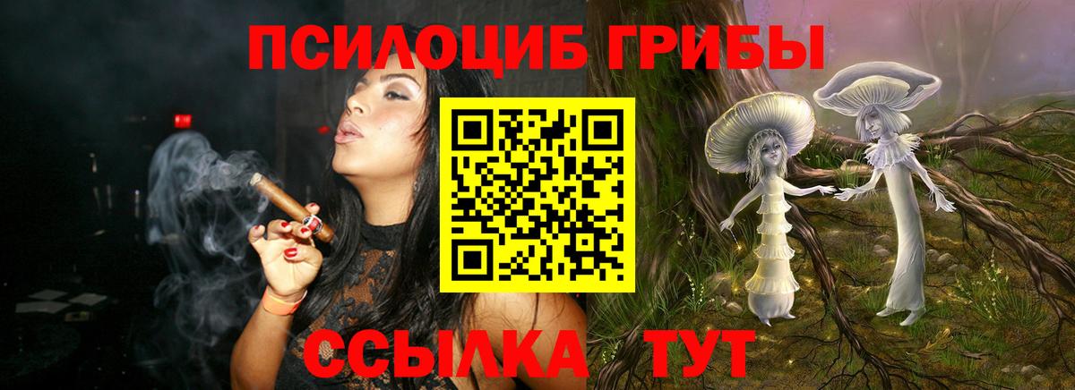 Галлюциногенные грибы мухоморы  Вход с VPN  Горячий Ключ 
